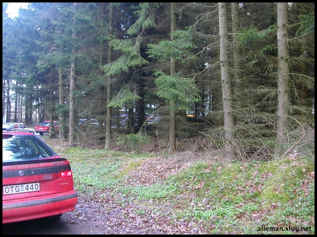 DSCN0419.jpg