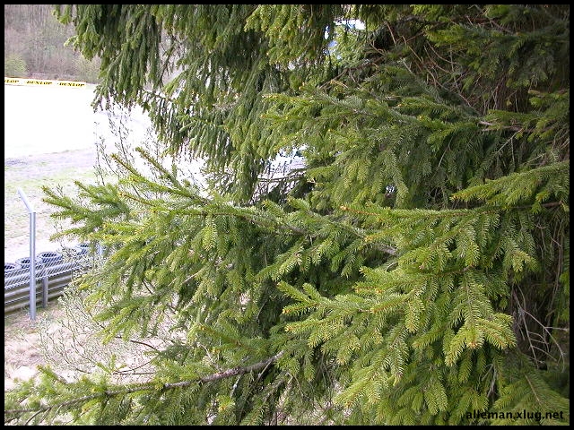 DSCN0451.jpg