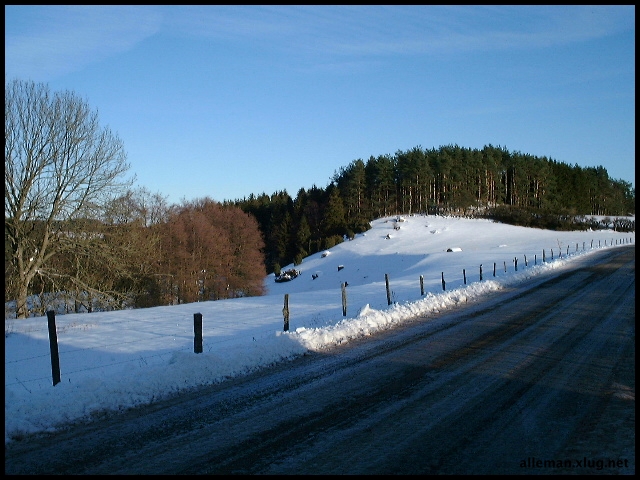 DSCF0035.jpg