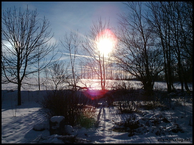 DSCF0036.jpg
