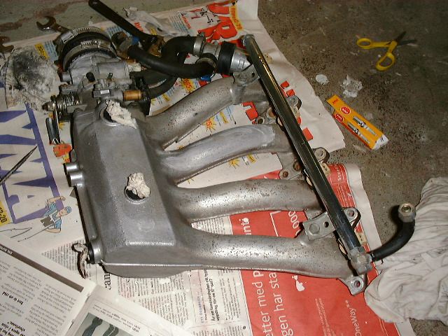 Insug putsad1.jpg
