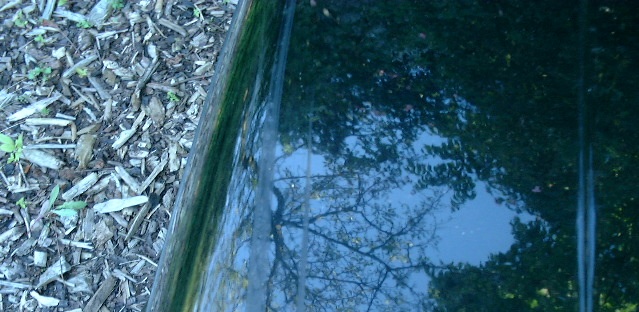 bild123.jpg