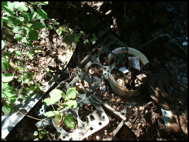 DSCF0059.jpg