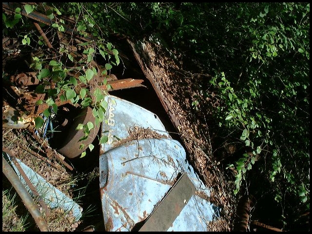 DSCF0069.jpg
