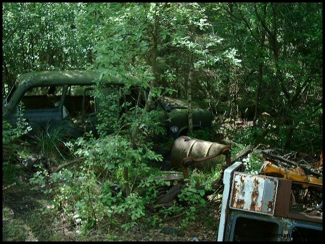 DSCF0072.jpg
