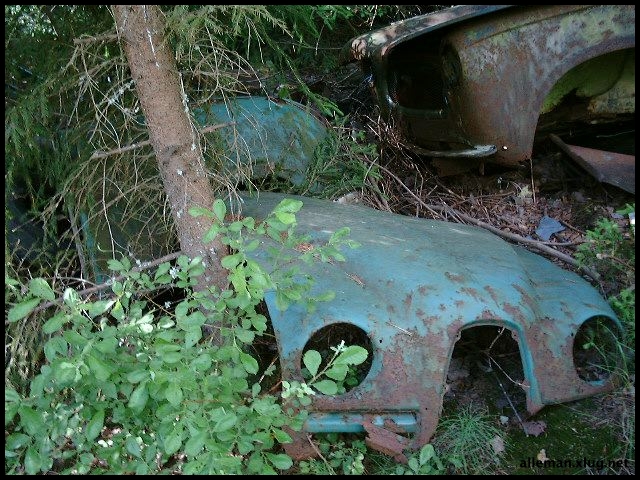 DSCF0076.jpg