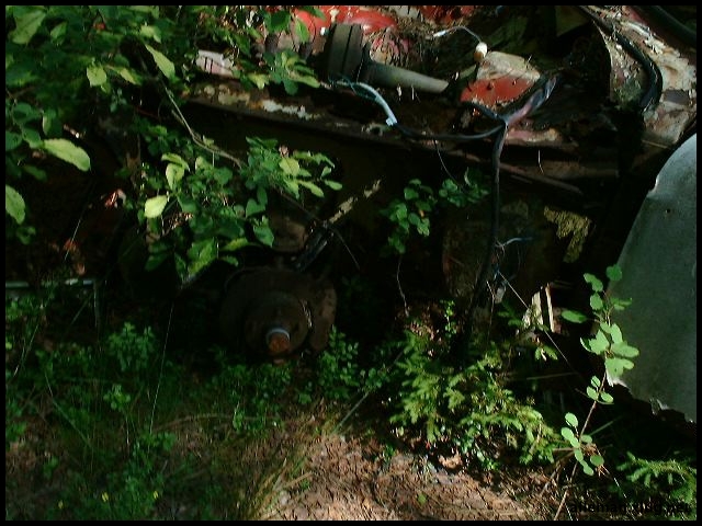 DSCF0078.jpg