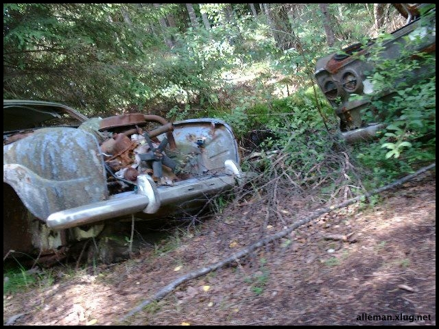 DSCF0079.jpg
