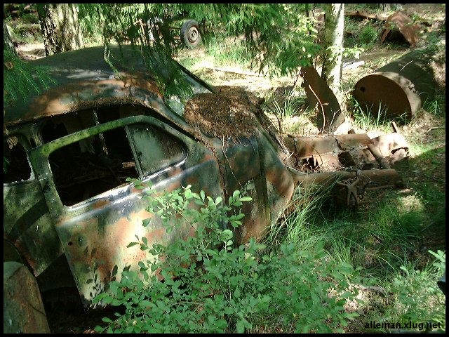 DSCF0086.jpg